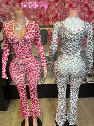 Cheetah Gam Jogging Suit SMALL-XL