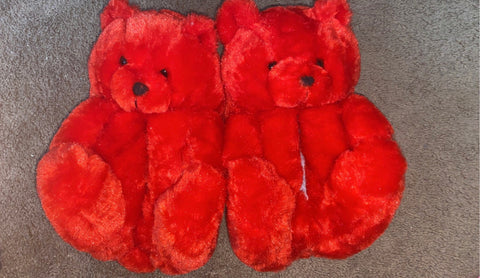 Teddy Bear Slippers